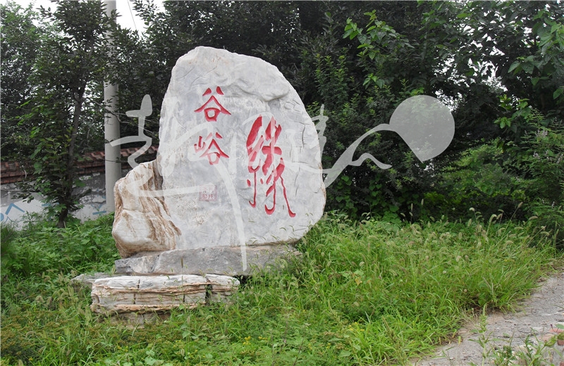 2.JPG